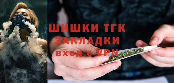 PSILOCYBIN Белокуриха